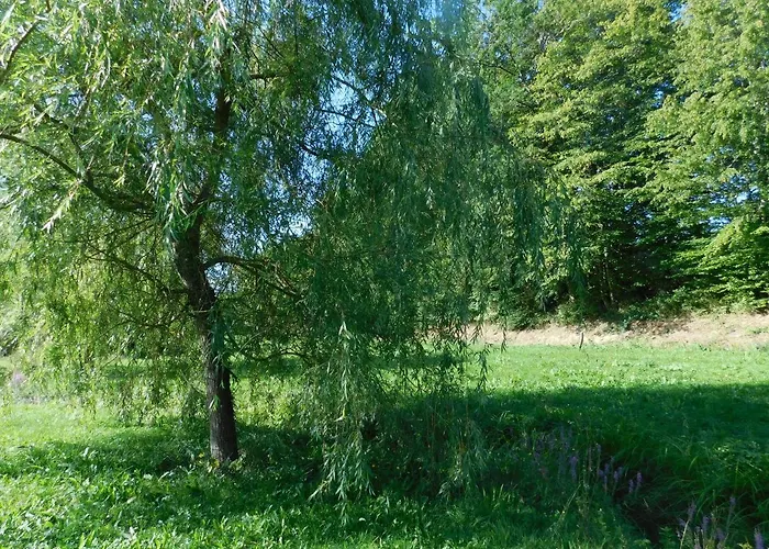 Les meilleurs hôtels à Naves Corrèze